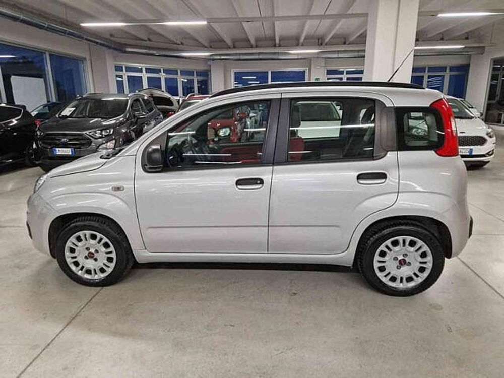 Fiat Panda usata a Bologna (7)