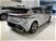 Peugeot 308 BlueHDi 130 S&S EAT8 Allure  nuova a Fornovo di Taro (6)