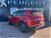 Kia Sportage 1.6 CRDI 115 CV 2WD Energy del 2019 usata a San Gregorio d'Ippona (7)