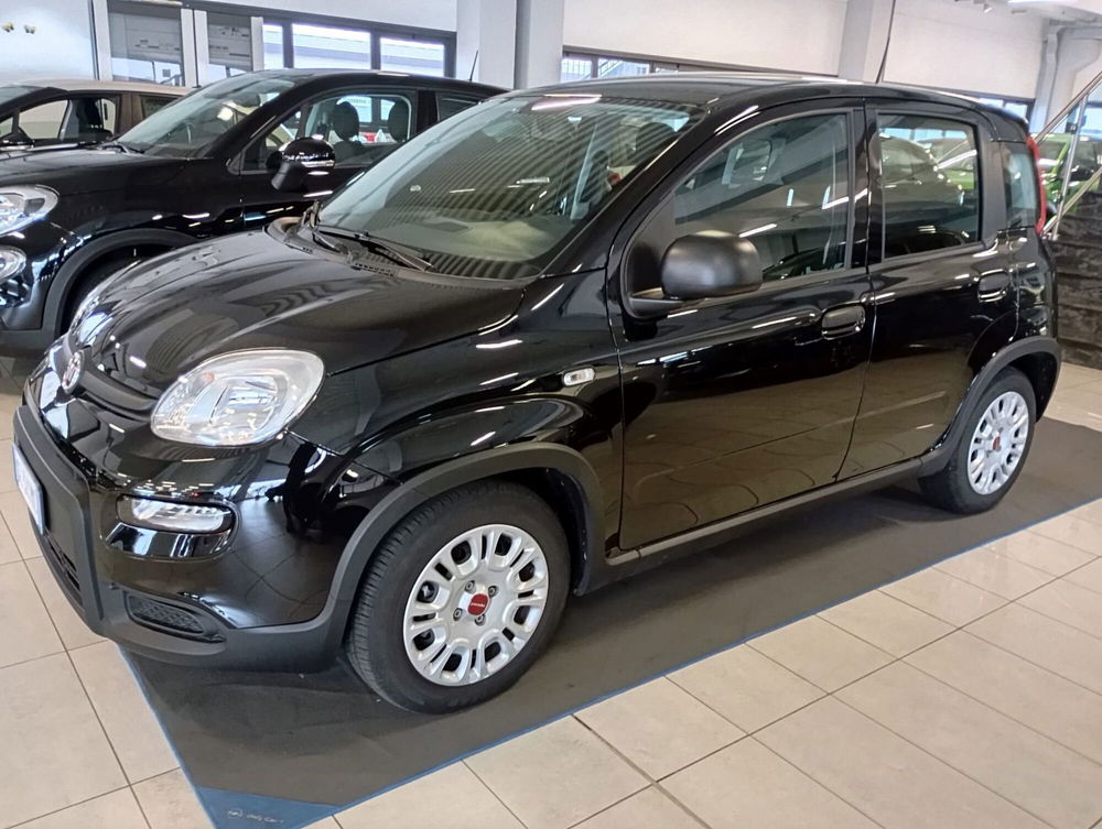 Fiat Panda 1.0 FireFly S&S Hybrid Easy del 2023 usata a Ferrara (2)