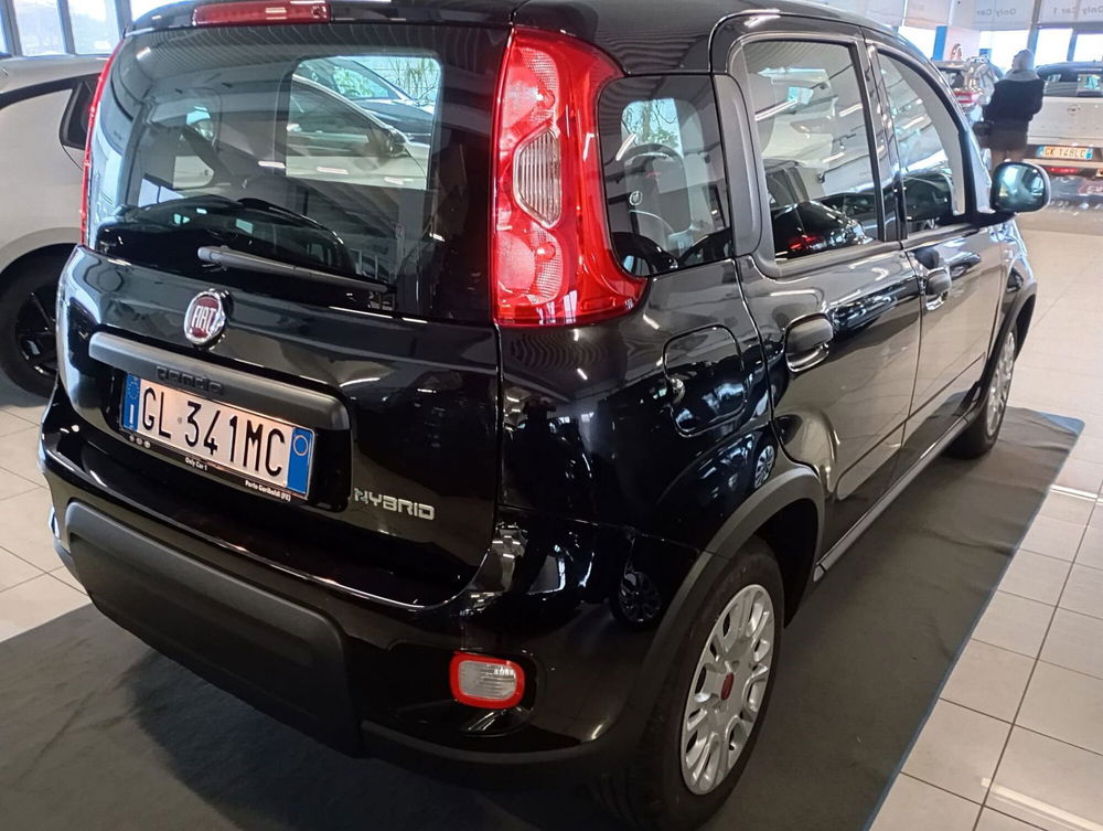 Fiat Panda 1.0 FireFly S&S Hybrid Easy del 2023 usata a Ferrara (5)