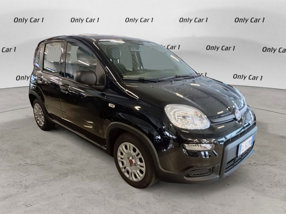 Fiat Panda Cross usata a Ferrara (3)