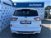 Ford Kuga 1.5 EcoBlue 120 CV 2WD ST-Line  del 2021 usata a Firenze (13)