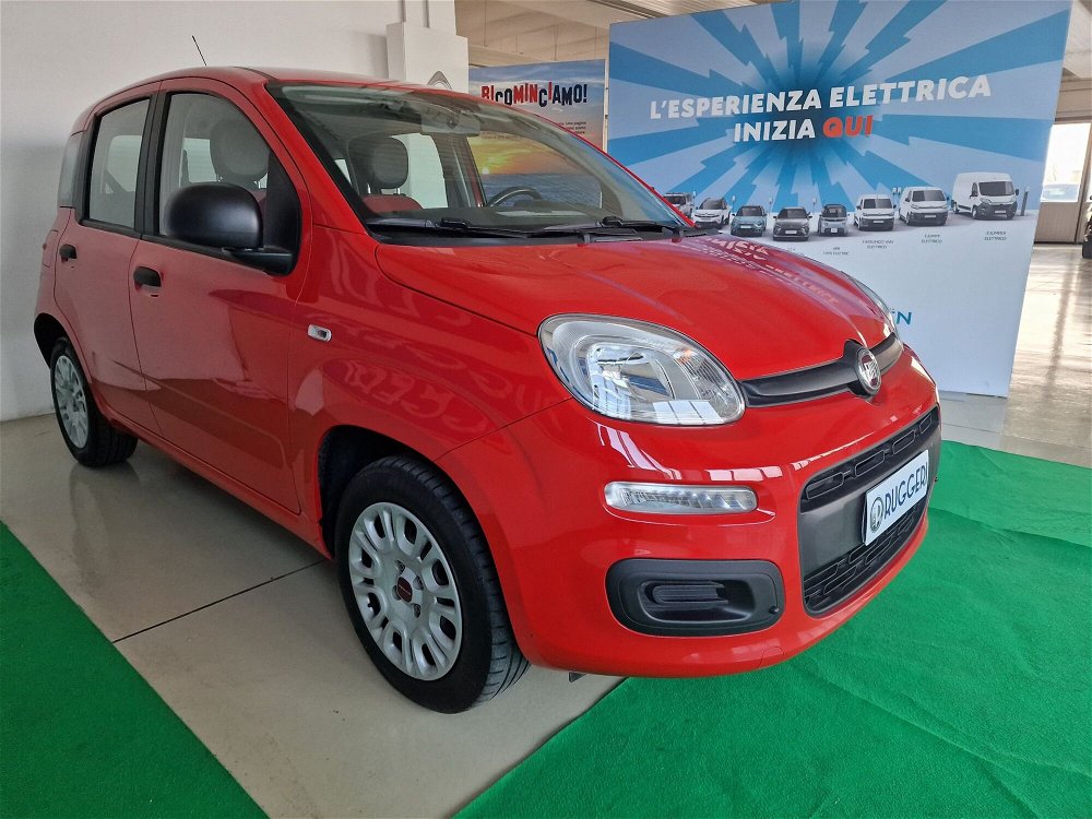 Fiat Panda 1.2 Easy  del 2019 usata a Rimini (5)