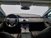 Land Rover Range Rover Evoque 2.0D I4-L.Flw 150 CV AWD Auto SE del 2020 usata a Alba (9)