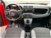 Fiat Panda 1.0 FireFly S&S Hybrid Easy del 2022 usata a Maniago (10)