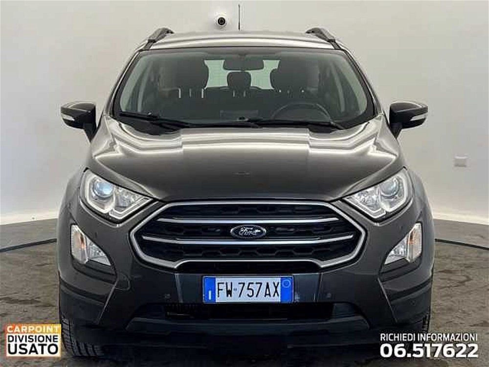 Ford EcoSport 1.0 EcoBoost 125 CV Start&Stop Business  del 2019 usata a Roma (2)