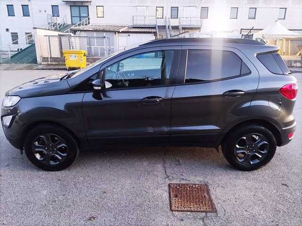 Ford EcoSport usata a Cuneo (8)