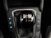Ford Focus Station Wagon 1.5 EcoBlue 120 CV automatico SW Vignale del 2019 usata a Torino (14)