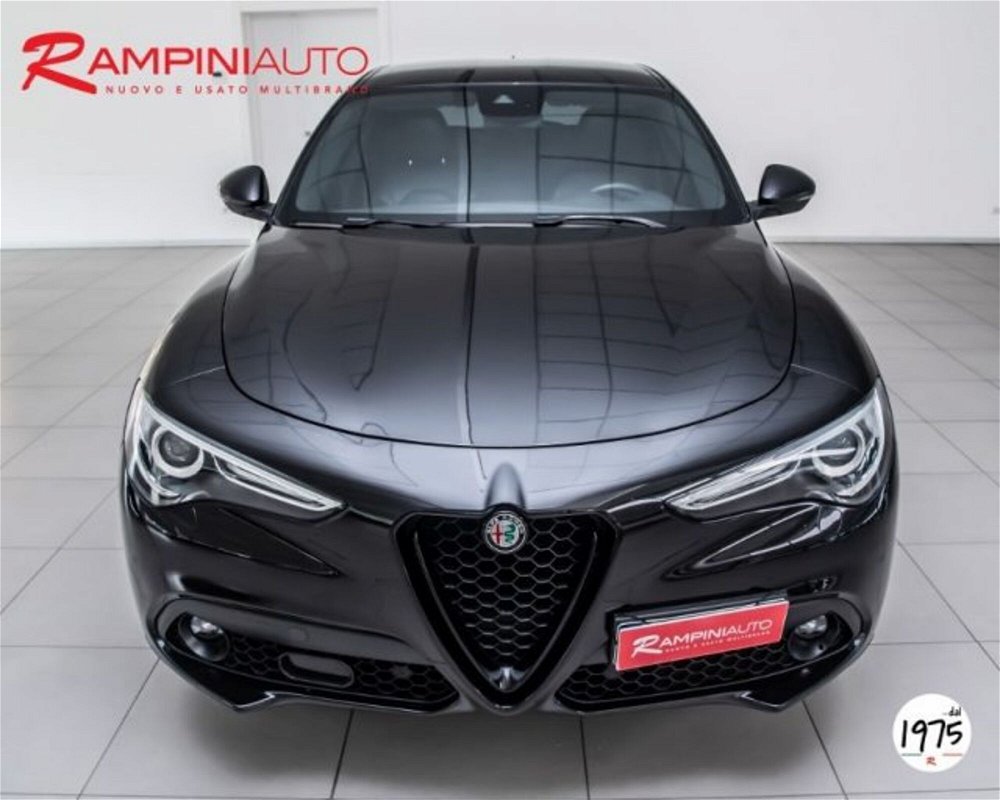 Alfa Romeo Stelvio Stelvio 2.2 Turbodiesel 210 CV AT8 Q4 Business  del 2017 usata a Gubbio (2)