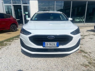 Ford Focus Station Wagon 1.5 EcoBlue 120 CV SW Business  del 2022 usata a Massarosa