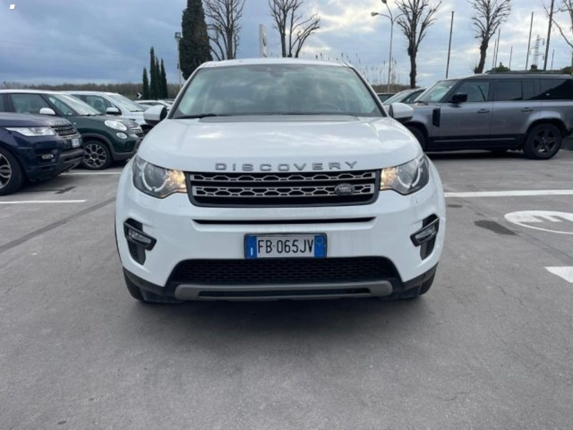 Land Rover Discovery Sport 2.0 TD4 150 CV SE  del 2015 usata a Massarosa