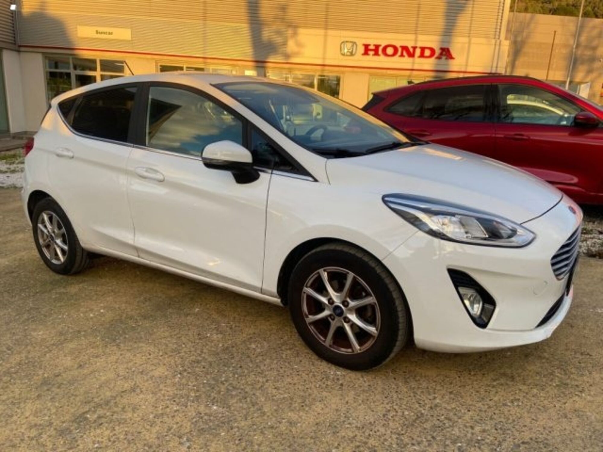 Ford Fiesta 1.0 Ecoboost Hybrid 125 CV DCT 5 porte Titanium del 2020 usata a Massarosa