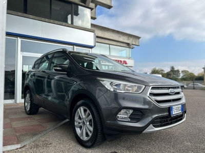 Ford Kuga 1.5 TDCI 120 CV S&amp;S 2WD Titanium Business del 2017 usata a Massarosa