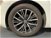 Volkswagen Maggiolino Cabrio 2.0 TDI DSG Design BlueMotion Technology  del 2017 usata a Albano Vercellese (14)
