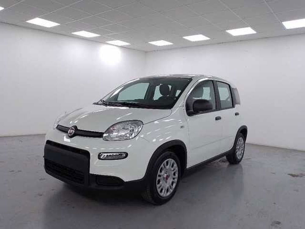 Fiat Panda 1.0 firefly hybrid s&s 70cv 5p.ti nuova a Cuneo