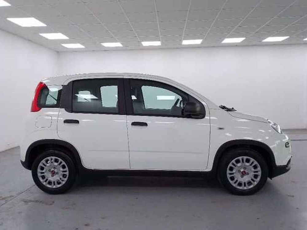 Fiat Panda 1.0 firefly hybrid s&s 70cv 5p.ti nuova a Cuneo (4)