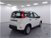 Fiat Panda 1.0 firefly hybrid s&s 70cv nuova a Cuneo (8)