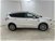 Ford Kuga 2.0 TDCI 180 CV S&S 4WD Powershift Vignale  del 2017 usata a Cesena (12)
