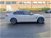 BMW Serie 3 M3  del 2016 usata a Castelfranco di Sotto (10)