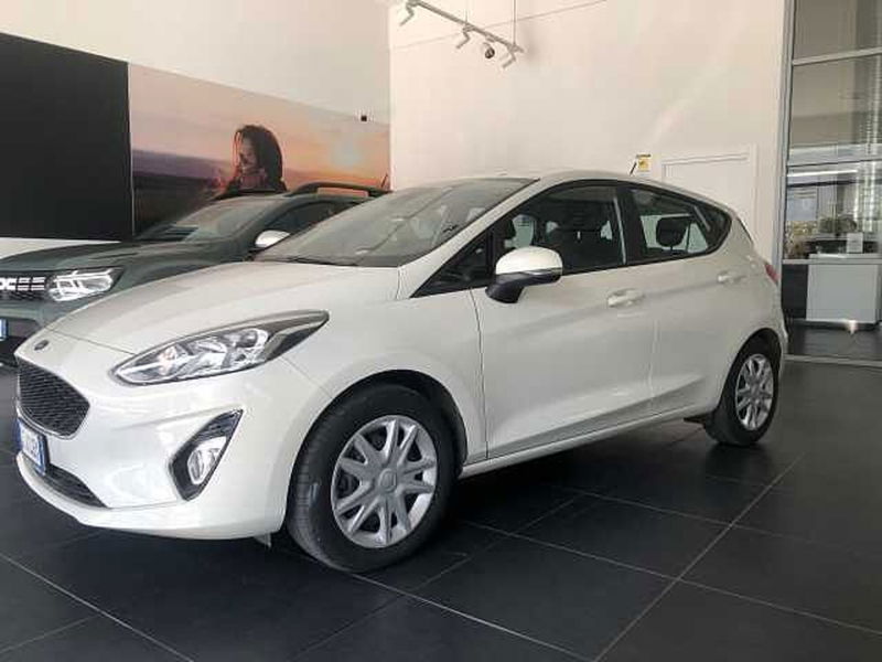 Ford Fiesta 1.1 75 CV GPL 5 porte Business  del 2020 usata a Rende