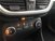 Ford Fiesta 1.1 75 CV GPL 5 porte Business  del 2020 usata a Rende (7)