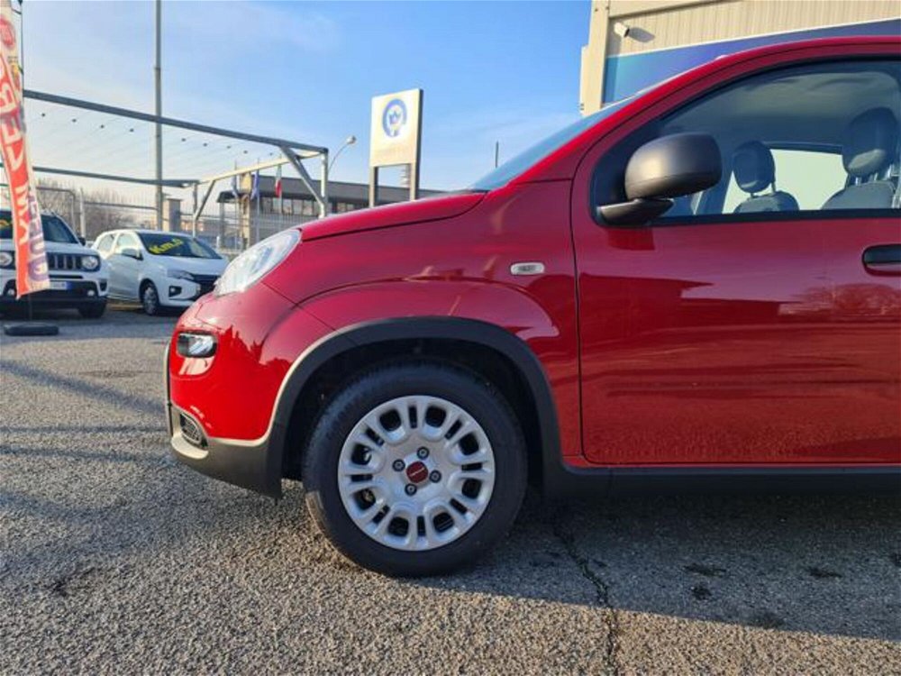Fiat Panda 1.0 FireFly S&S Hybrid  nuova a Pianezza (3)