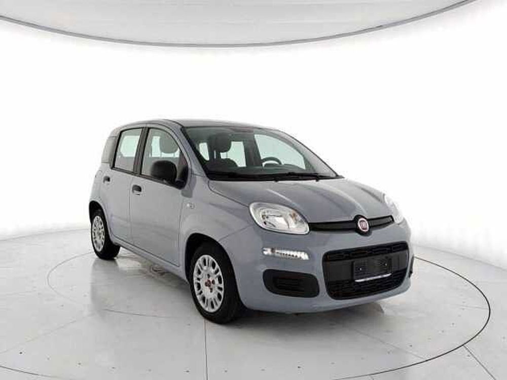 Fiat Panda usata a Torino (2)