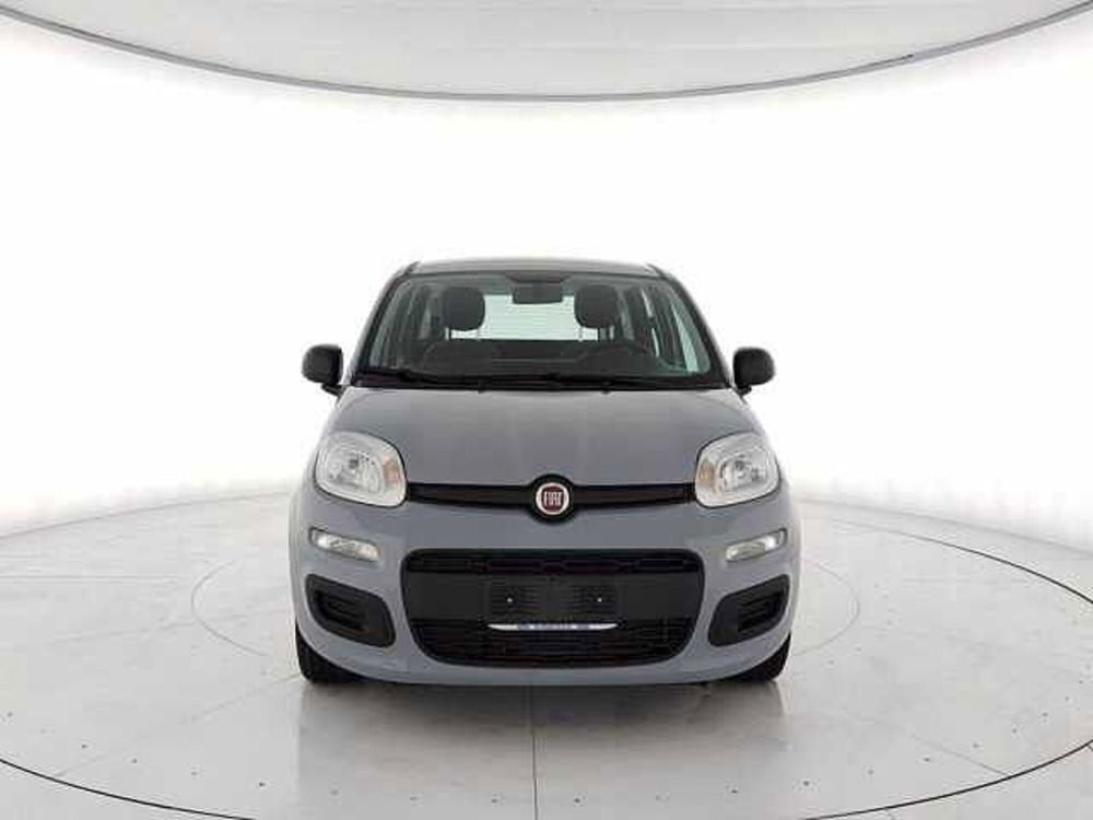 Fiat Panda 1.0 firefly hybrid s&s 70cv 5p.ti del 2022 usata a Torino (5)