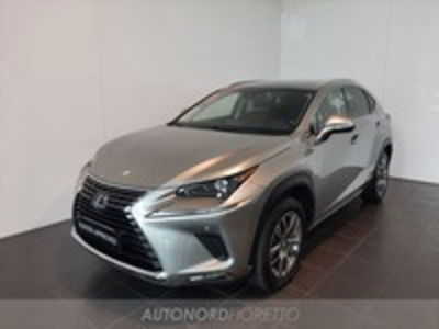 Lexus NX Hybrid 4WD Executive  del 2018 usata a Pordenone