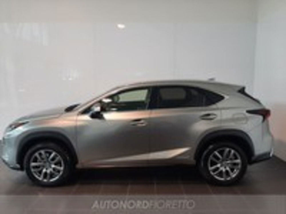 Lexus NX Hybrid 4WD Executive  del 2018 usata a Pordenone (3)