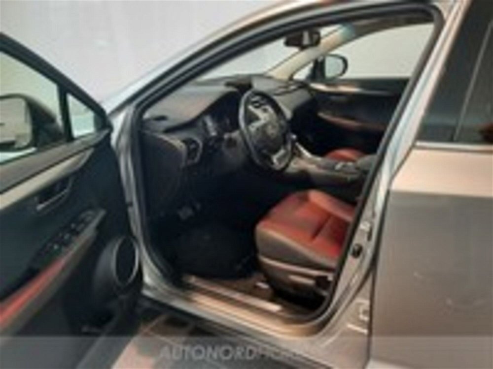 Lexus NX Hybrid 4WD Executive  del 2018 usata a Pordenone (5)