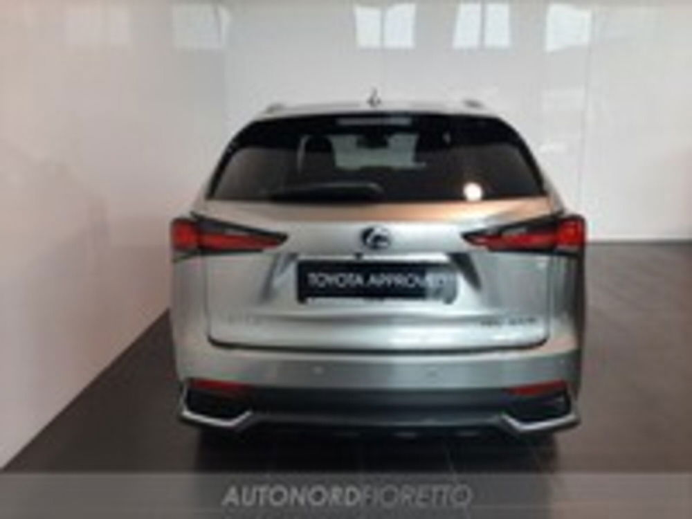 Lexus NX usata a Pordenone (8)