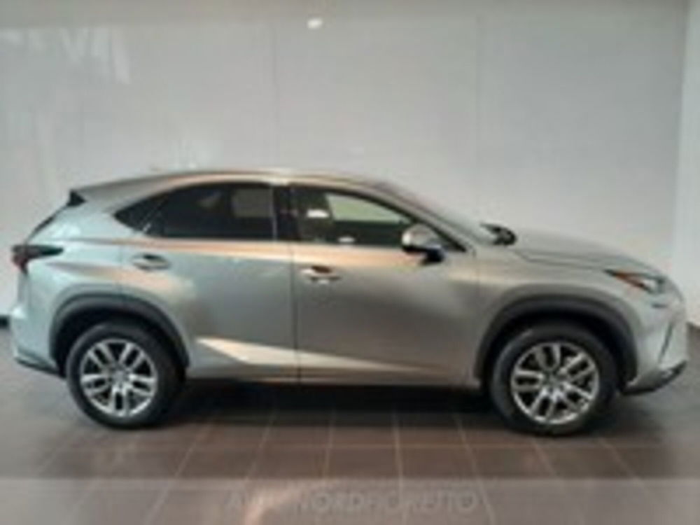 Lexus NX usata a Pordenone (9)