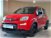 Fiat Panda 1.0 FireFly S&S Hybrid City Cross  del 2021 usata a Sassari (14)