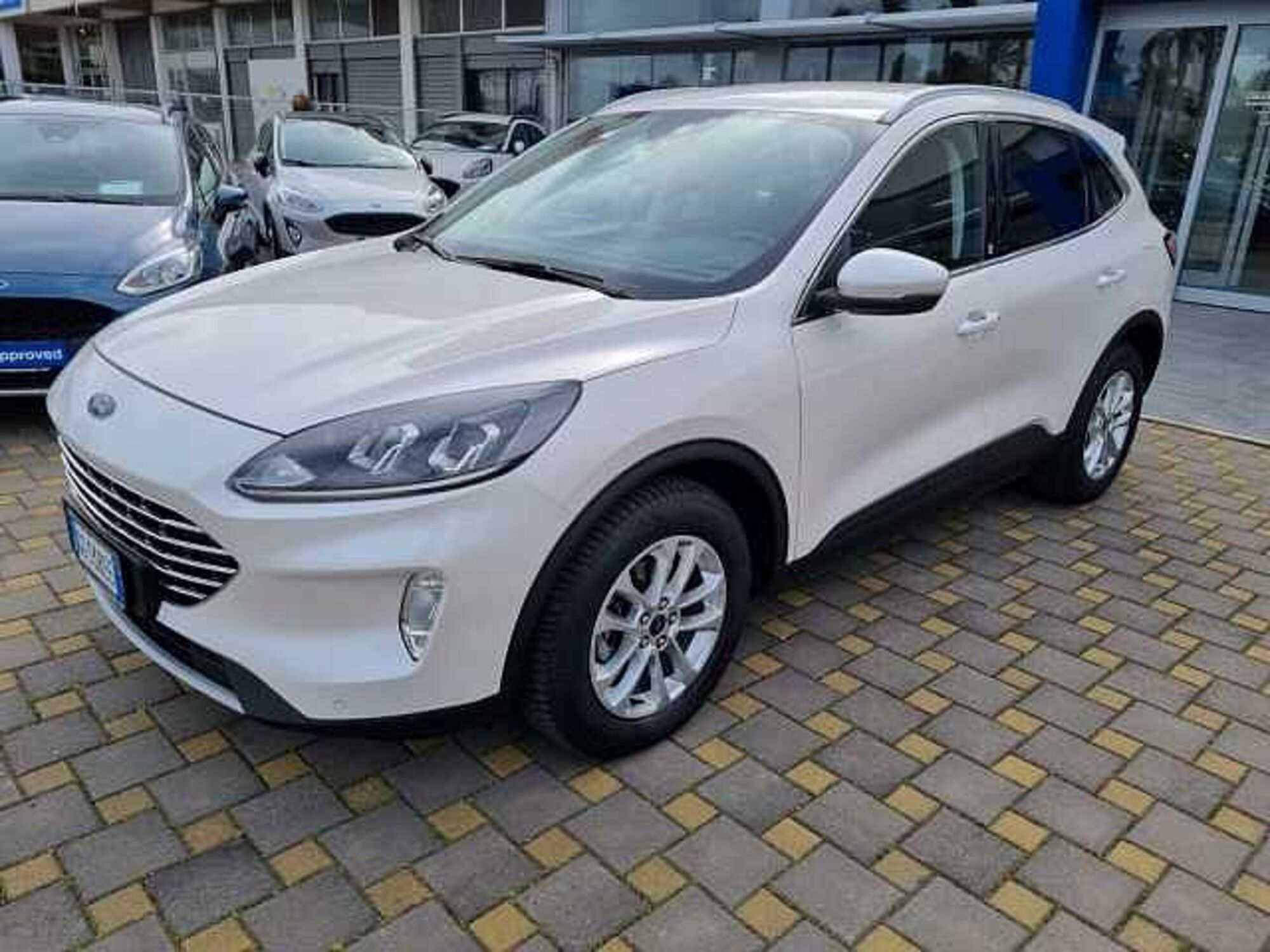 Ford Kuga 1.5 EcoBlue 120 CV 2WD Titanium  del 2020 usata a Monopoli