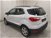 Ford EcoSport 1.5 Ecoblue 100 CV Start&Stop Plus  del 2020 usata a Cuneo (6)