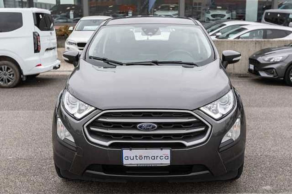 Ford EcoSport 1.5 Ecoblue 95 CV Start&Stop Plus del 2021 usata a Silea (4)