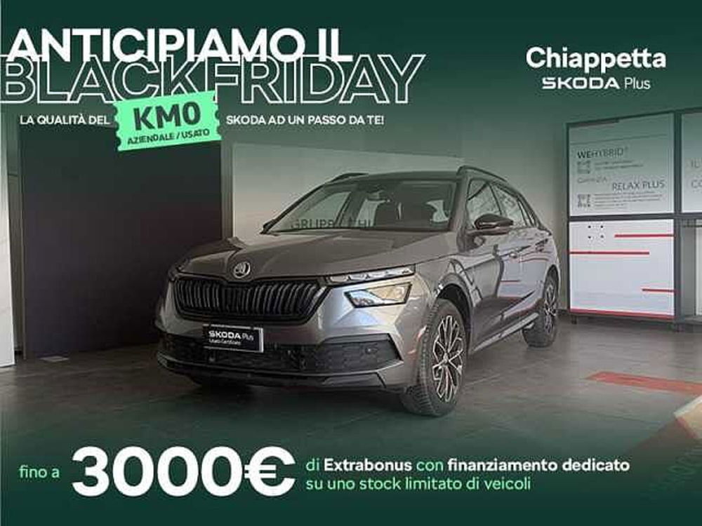 Skoda Kamiq usata a Cosenza (2)