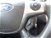 Ford Focus Station Wagon 1.6 TDCi 115 CV SW  del 2013 usata a Spresiano (14)