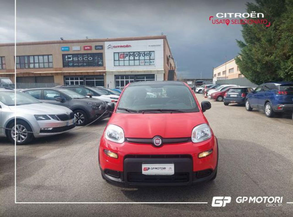 Fiat Panda 1.0 FireFly S&S Hybrid City Cross  del 2021 usata a Vitulazio