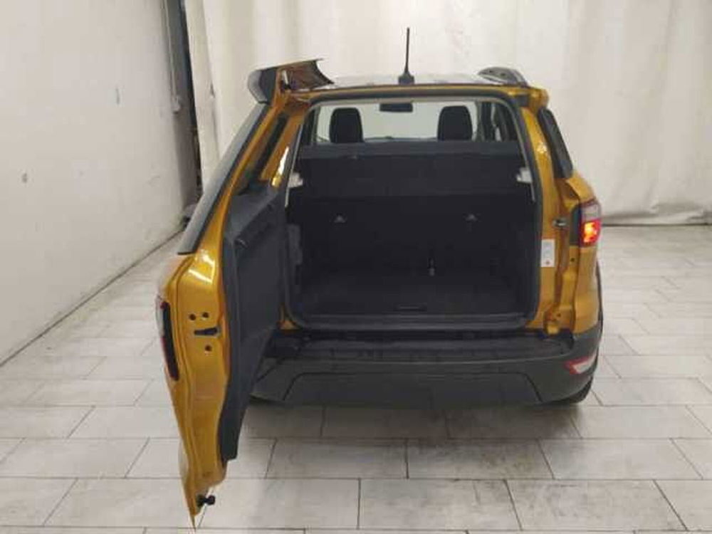 Ford EcoSport usata a Cuneo (10)