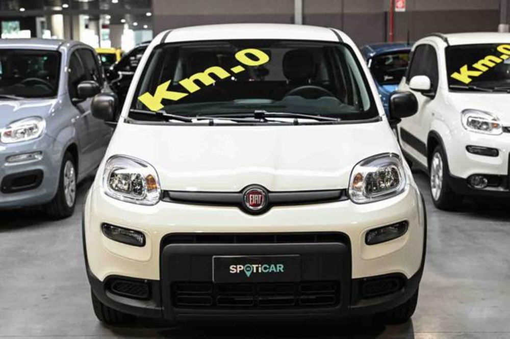 Fiat Panda nuova a Torino (2)