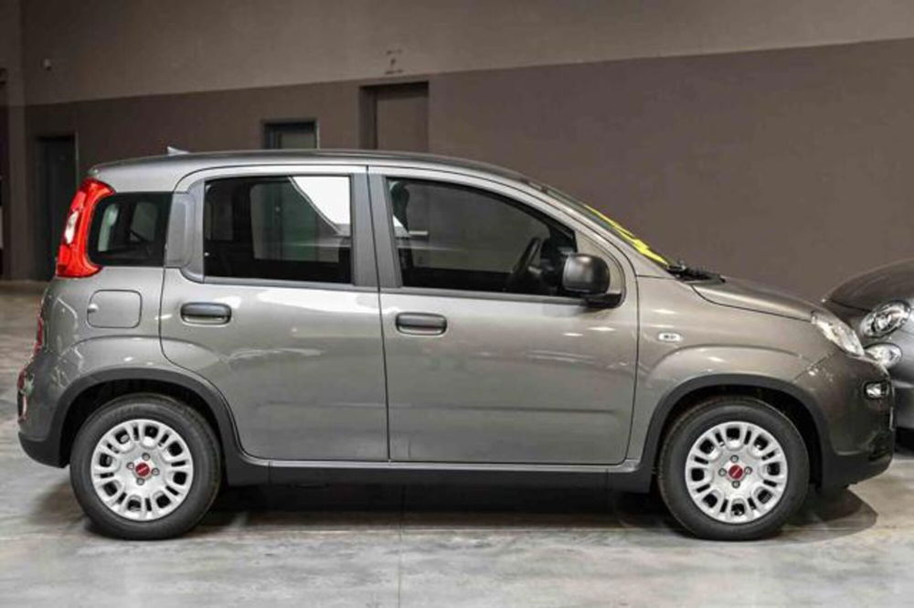 Fiat Panda nuova a Torino (4)