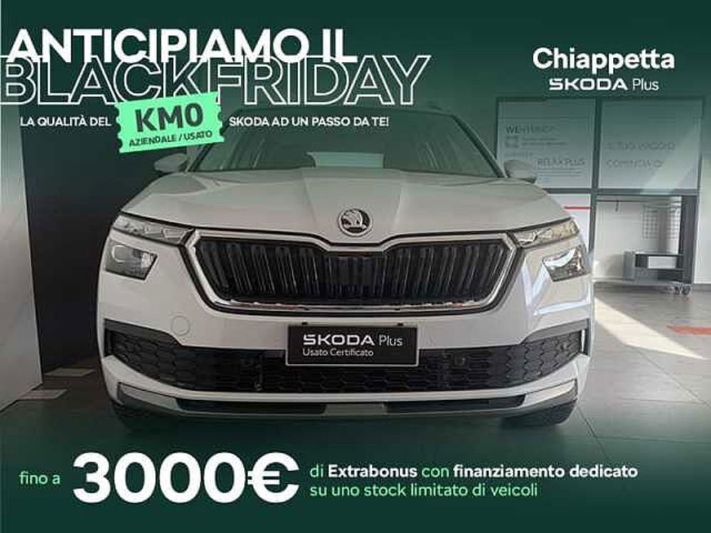 Skoda Kamiq usata a Cosenza (16)