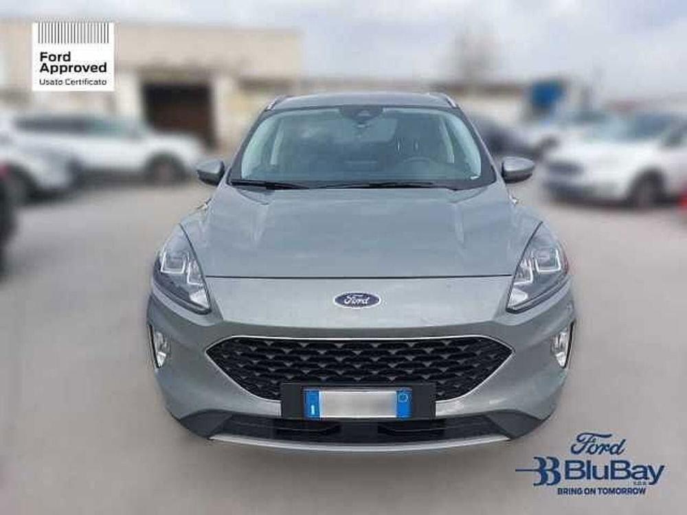 Ford Kuga usata a Livorno (2)