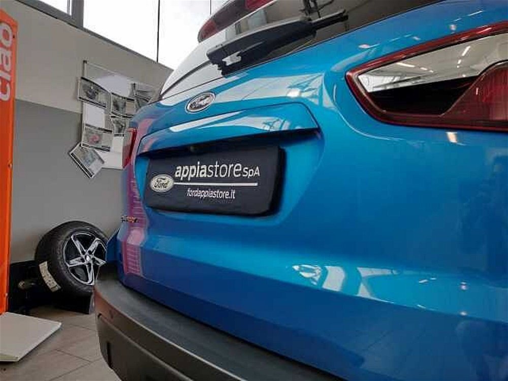 Ford EcoSport 1.0 EcoBoost 125 CV Start&Stop Active del 2021 usata a Taranto (5)