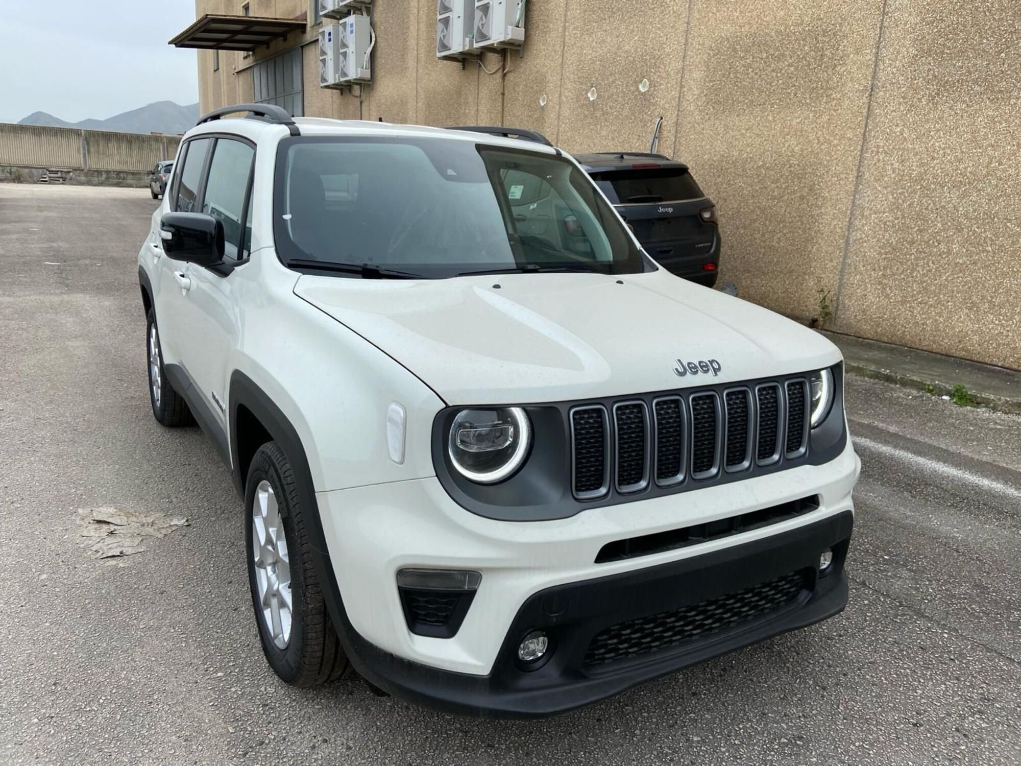 Jeep Renegade 1.6 Mjt 130 CV Limited  nuova a Caserta