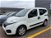 Fiat QUBO 1.3 MJT 80 CV Easy  del 2017 usata a Ravenna (7)