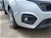 Fiat QUBO 1.3 MJT 80 CV Easy  del 2017 usata a Ceccano (17)
